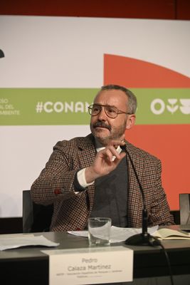 Pedro Calaza Martínez